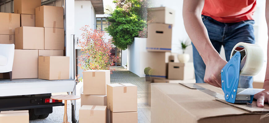 Domestic Relocation