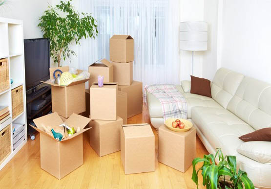 packer-mover